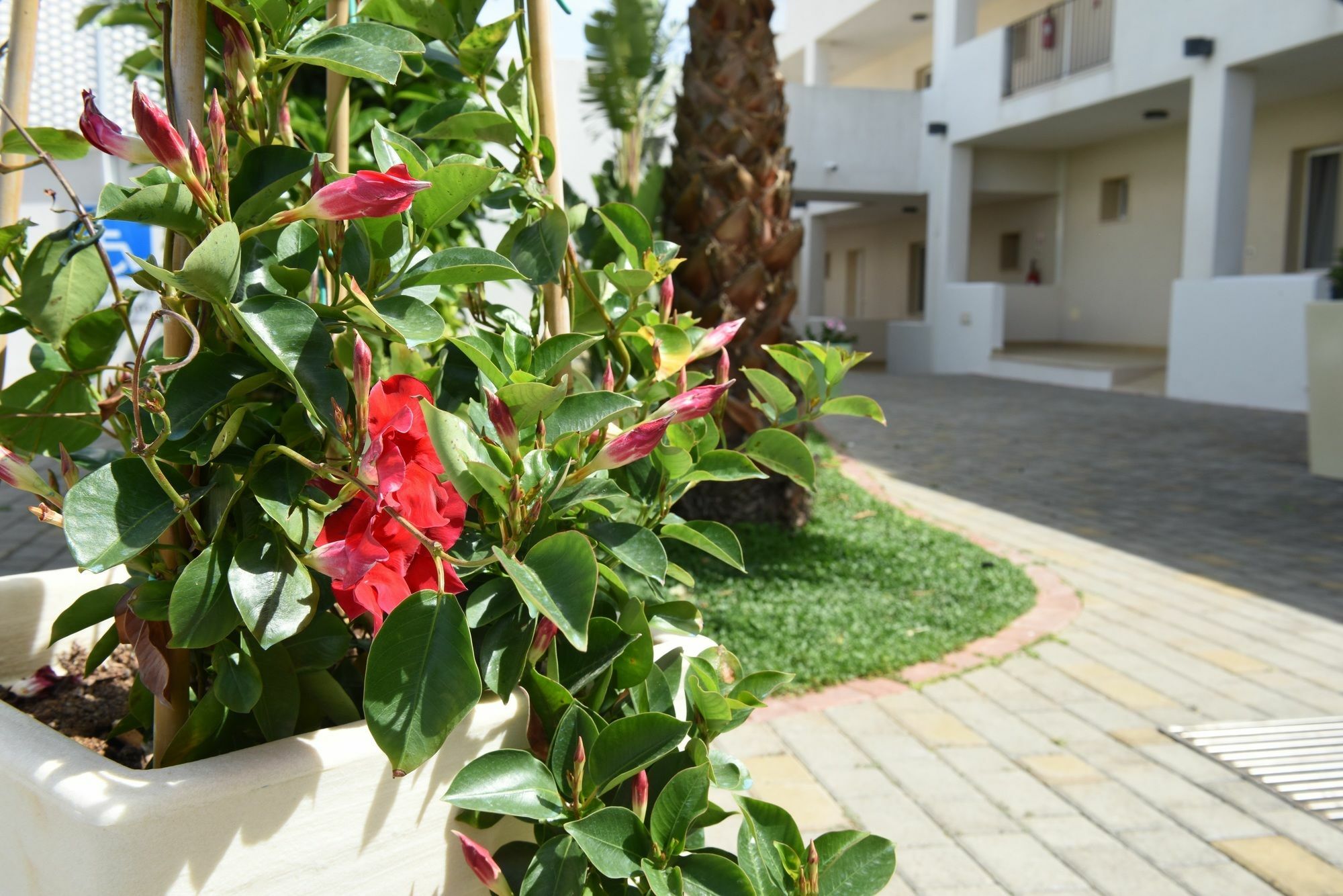 Donnosanto Residence Torre Santa Sabina Ngoại thất bức ảnh